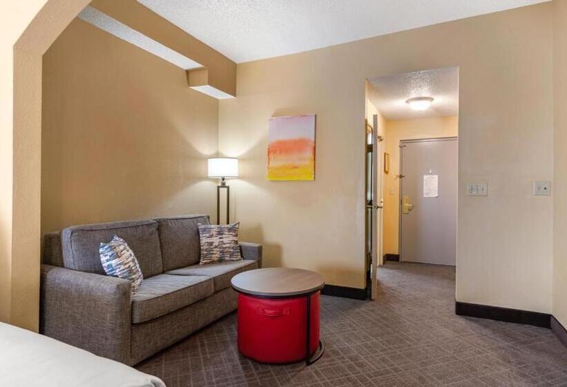 Стандартный Номер Кровать Кинг, Comfort Inn & Suites At Stone Mountain