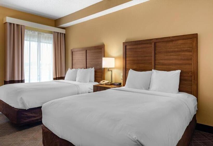 Номер Стандарт, Comfort Inn & Suites At Stone Mountain