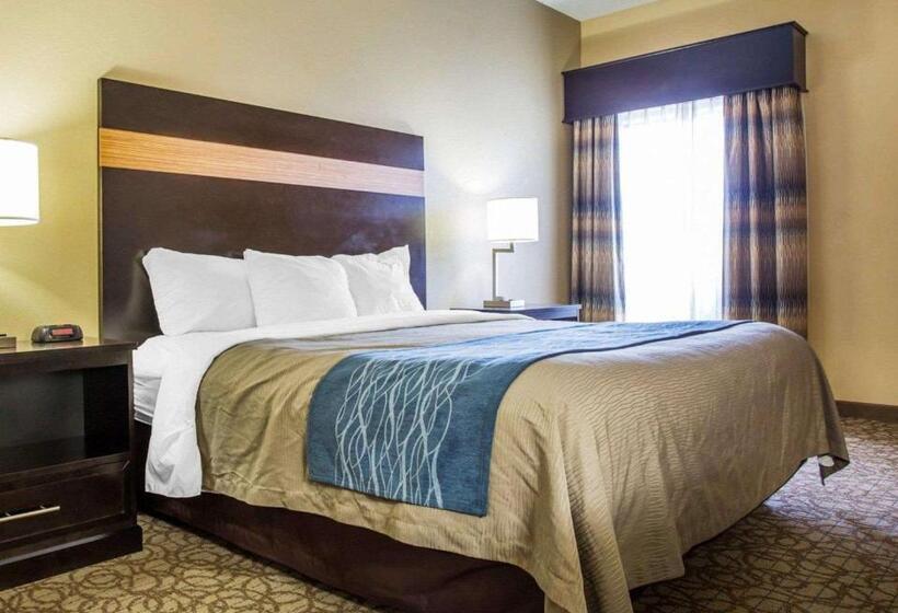 Люкс Кровать Кинг, Comfort Inn & Suites At Stone Mountain