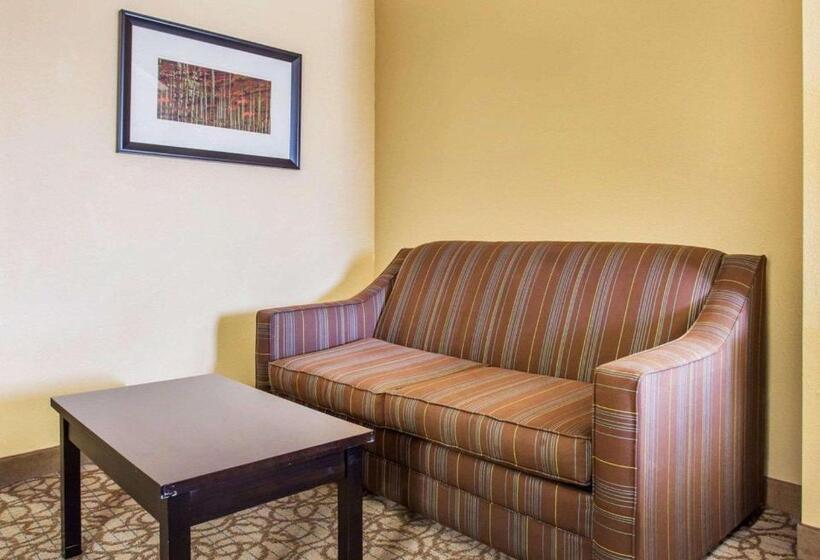 Suíte Cama King, Comfort Inn & Suites At Stone Mountain