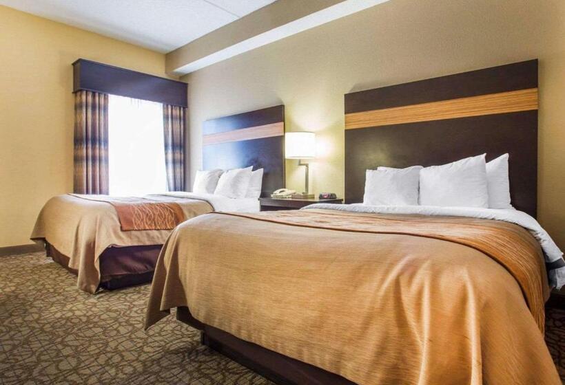 Люкс, Comfort Inn & Suites At Stone Mountain