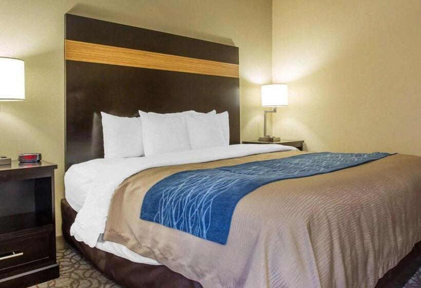 Стандартный Номер Кровать Кинг, Comfort Inn & Suites At Stone Mountain