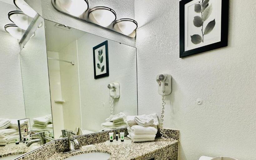 Deluxe Suite met Kingsize Bed, Radiant Inn And Suites