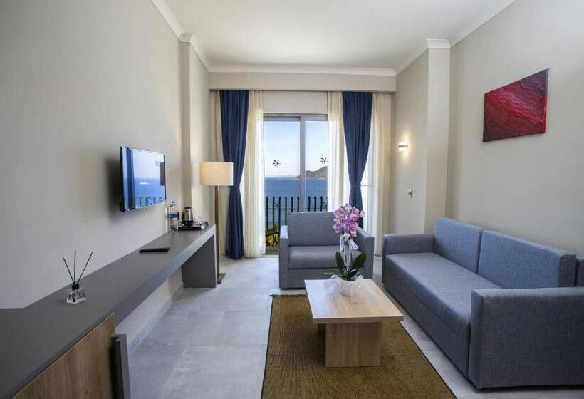 اتاق استاندارد, Yasmin Bodrum Resort