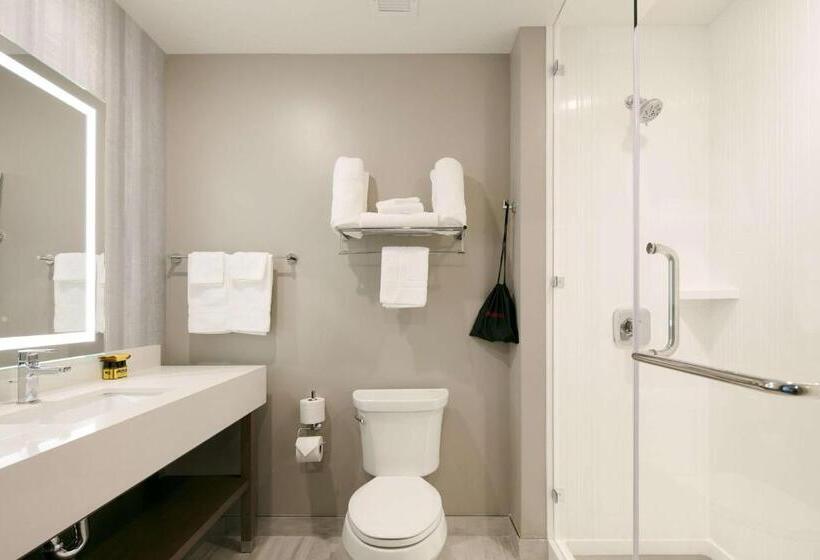 스탠다드 룸 킹사이즈 침대, Best Western Plus Settlers Point