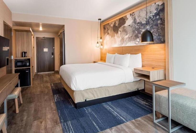 스탠다드 룸 킹사이즈 침대, Best Western Plus Settlers Point