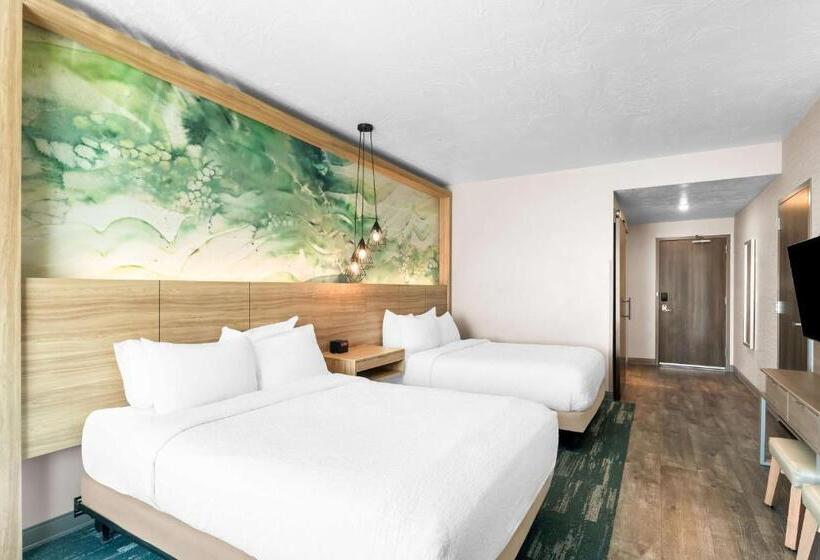 장애인을 위한 스탠다드 룸, Best Western Plus Settlers Point