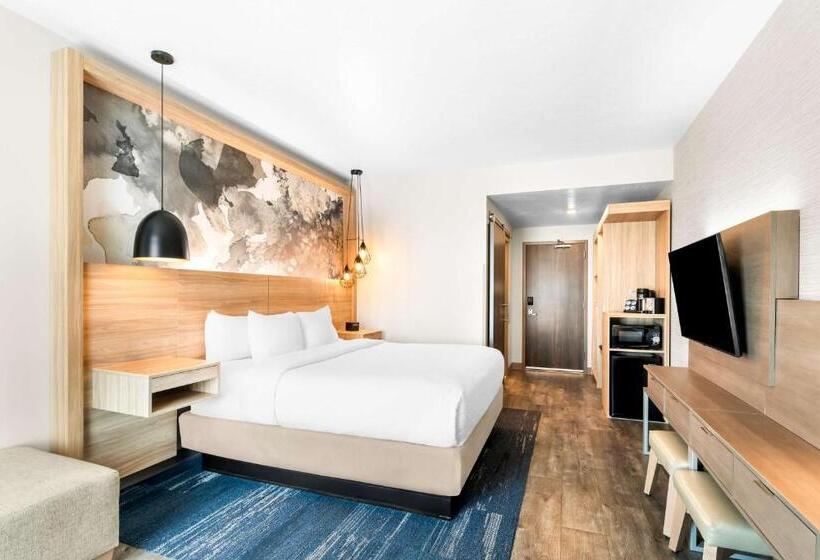 스탠다드 룸 킹사이즈 침대, Best Western Plus Settlers Point