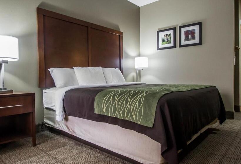 스탠다드 룸 킹사이즈 침대, Comfort Inn Amite