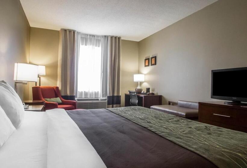 스탠다드 룸 킹사이즈 침대, Comfort Inn Amite