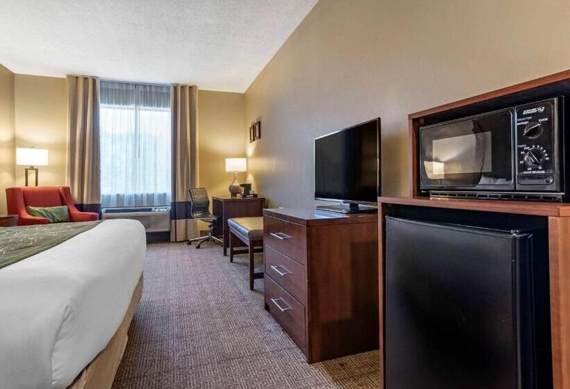 스탠다드 룸 킹사이즈 침대, Comfort Inn Amite