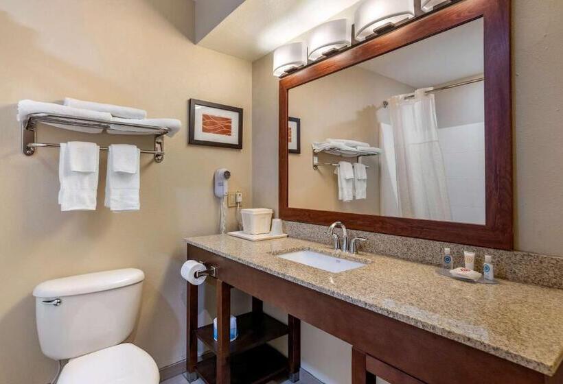 キングサイズベッドのスイートルーム, Comfort Inn Amite