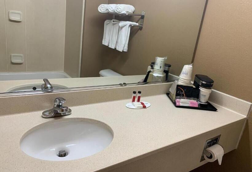 Номер Стандарт Кровать Кинг Адаптированный для Инвалидов, Days Inn By Wyndham, Glen Allen   Richmond North