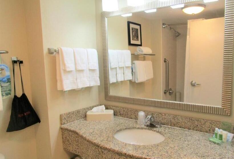 اتاق استاندارد برای معلولان, Hampton Inn St. Augustine Downtown Historic District