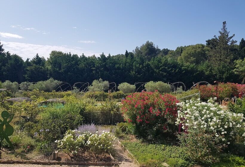 اتاق استاندارد, Mas Des Figues   Mas Xviiie   Ouvert 01 Mai Au 30 Septembre 2025   Piscine Très Calme   Alpilles Sai