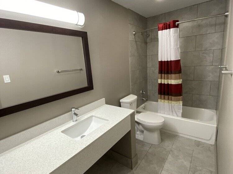 带大床的豪华间, Red Roof Inn & Suites Denton