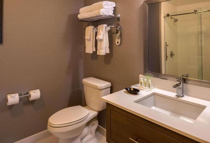 Habitació Deluxe Llit King, Sonesta Chicago O Hare Airport Rosemont