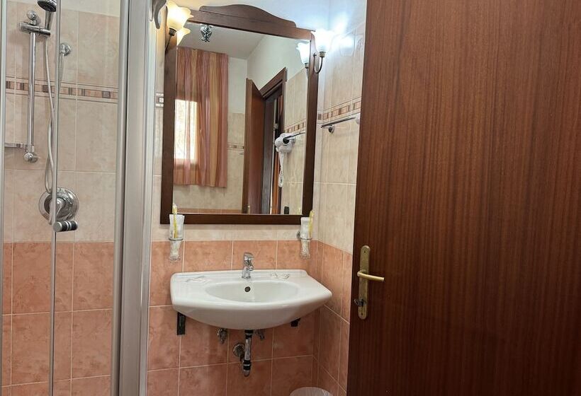 اتاق سوپریور یک تخته, Euro House Inn Airport