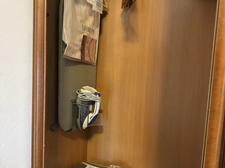 اتاق سوپریور یک تخته, Euro House Inn Airport