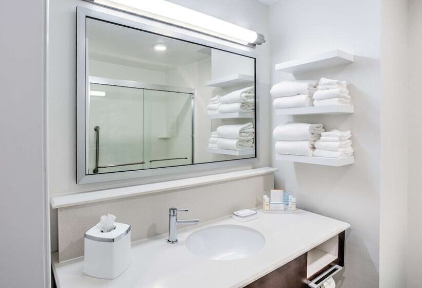 استودیوی استاندارد با تخت دوبل, Hampton Inn & Suites Macon I 475
