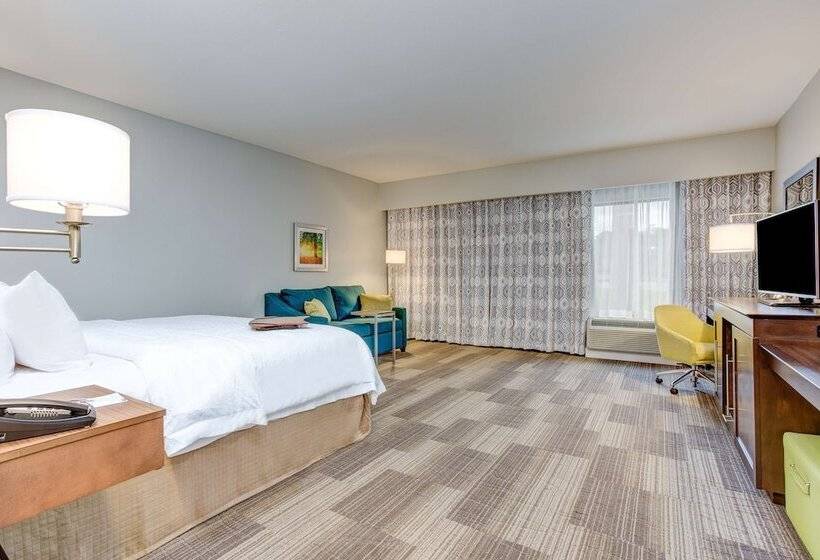 סטודיו סטנדרט מיטה זוגית, Hampton Inn & Suites Macon I 475