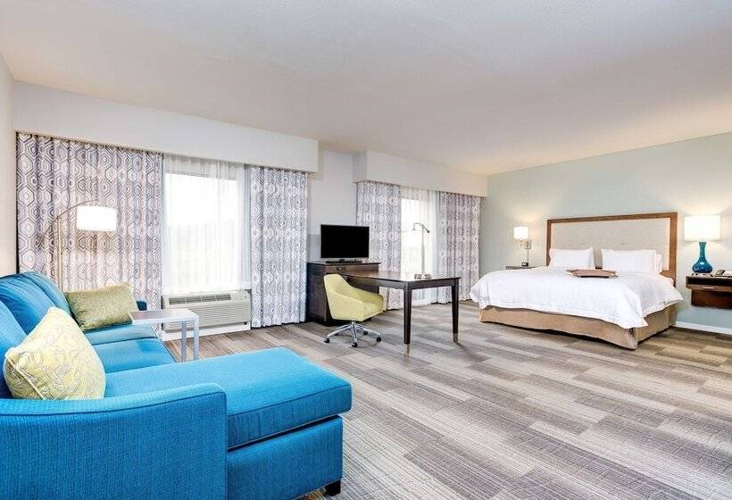 استودیوی استاندارد با تخت دوبل, Hampton Inn & Suites Macon I 475