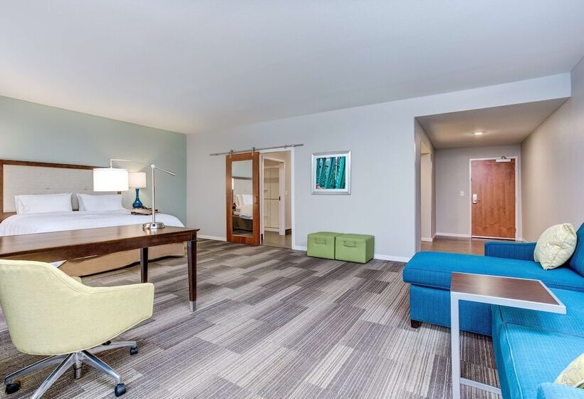 استودیوی استاندارد با تخت دوبل, Hampton Inn & Suites Macon I 475