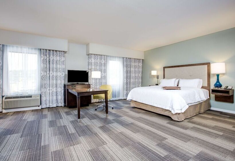 סטודיו סטנדרט מיטה זוגית, Hampton Inn & Suites Macon I 475