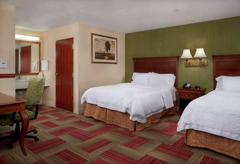 Студия Стандарт, Hampton Inn & Suites Roswell
