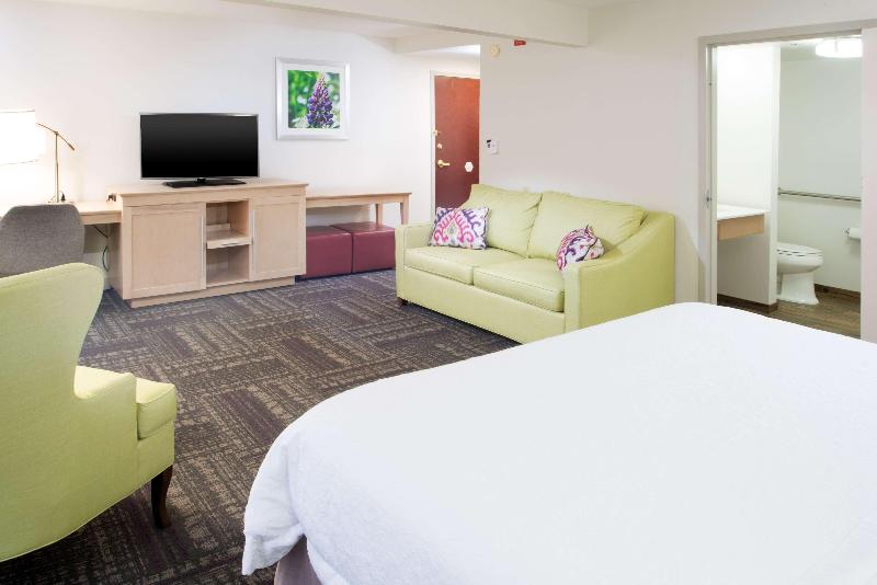 스탠다드 룸 킹사이즈 침대, Hampton Inn & Suites Wilson I 95