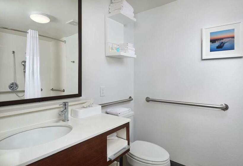 StandaardKamer, Hampton Inn Beaumont