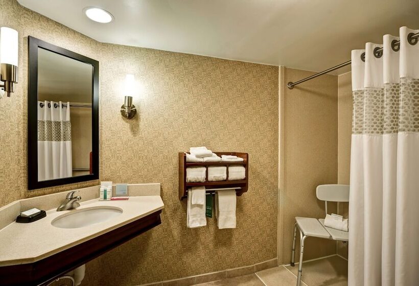 장애인을 위한 스탠다드 룸, Hampton Inn Morgantown