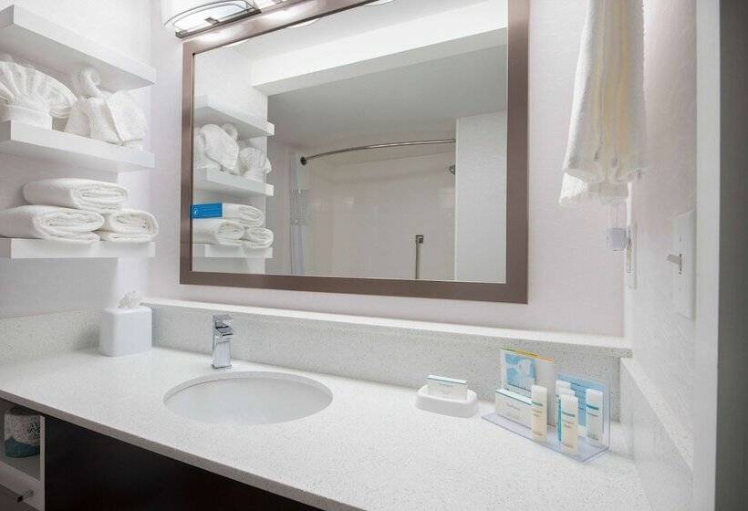 חדר סטודיו סטנדרד, Hampton Inn & Suites Atlantagalleria
