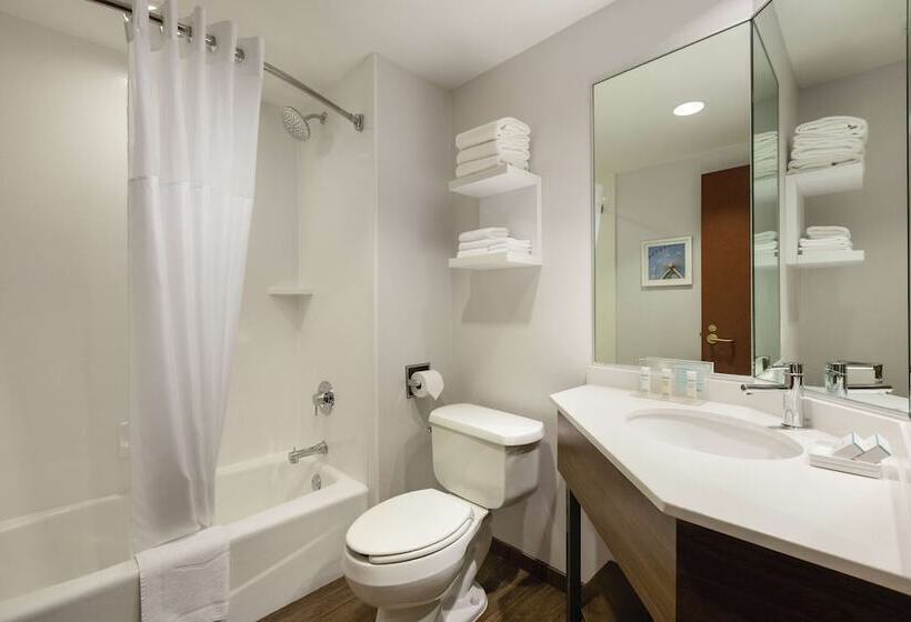 Люкс, Hampton Inn & Suites Dallasmesquite