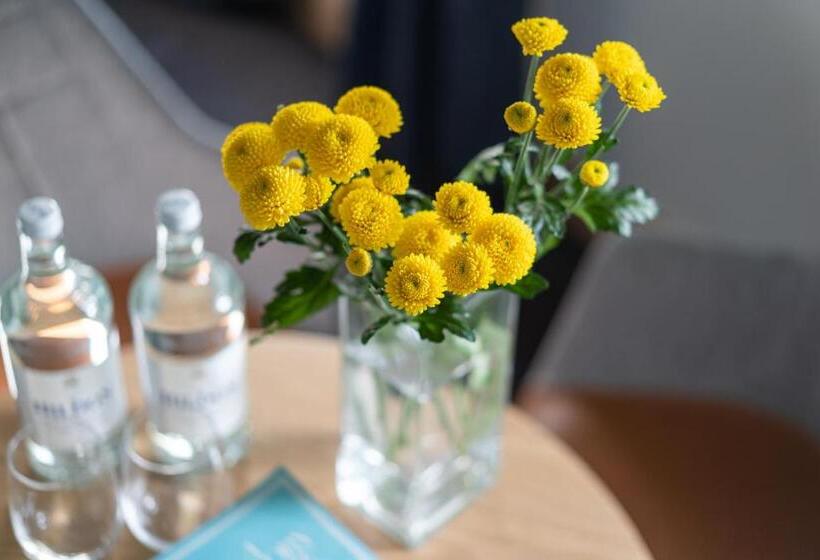 수피리어 룸, Hillyard House