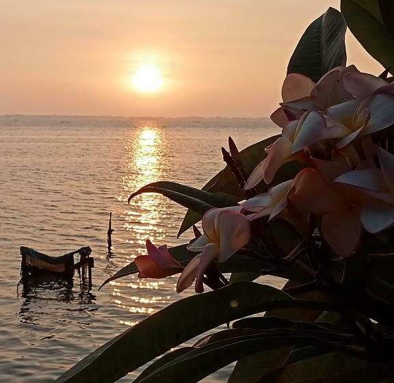 اتاق لوکس, Araliya Lagoon Park Resort