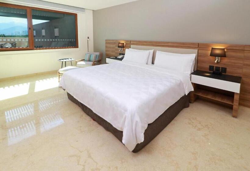 سوئیت با تخت بزرگ, Holiday Inn & Suites   Puerto Vallarta Marina & Golf, An Ihg