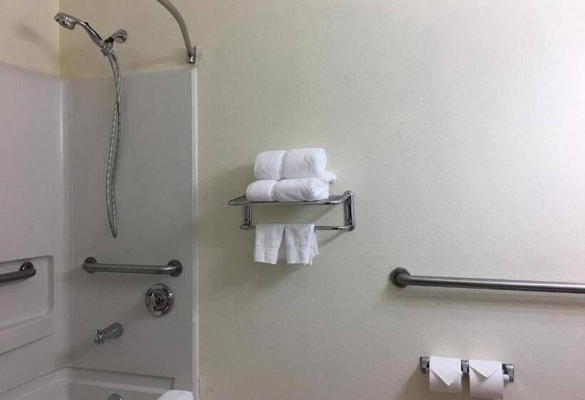 Номер Стандарт Адаптированный для Инвалидов, Best Western Roanoke Inn & Suites