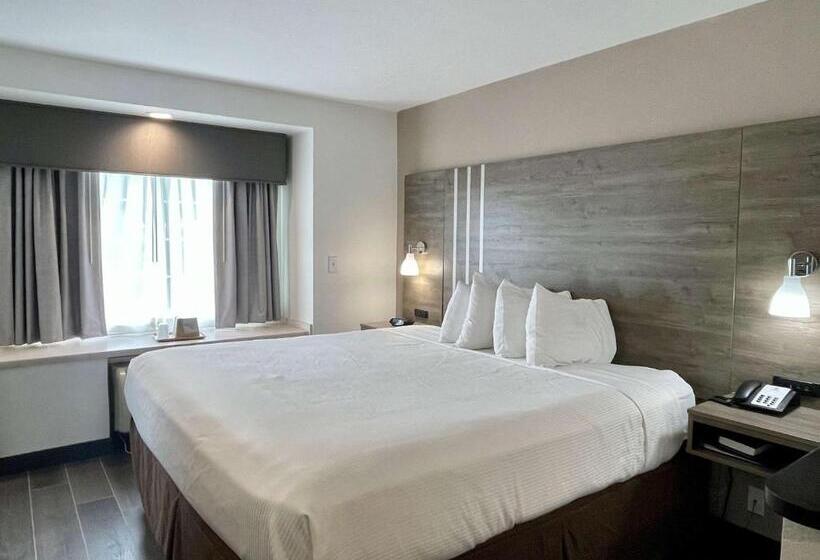 Номер Стандарт Кровать Кинг Адаптированный для Инвалидов, Best Western Roanoke Inn & Suites