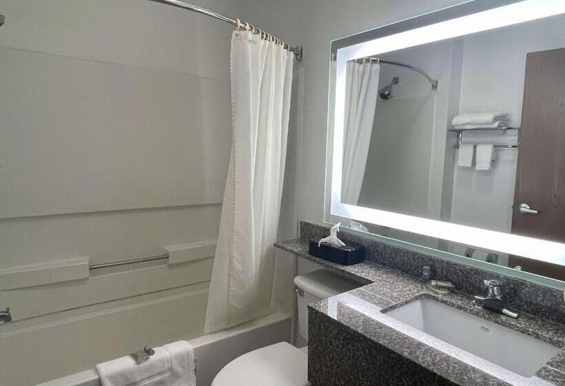 Люкс Кровать Кинг, Best Western Roanoke Inn & Suites