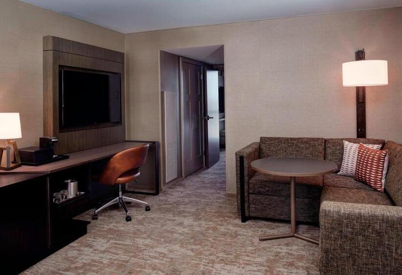Suite King Size Seng, Chicago Marriott Southwest At Burr Ridge