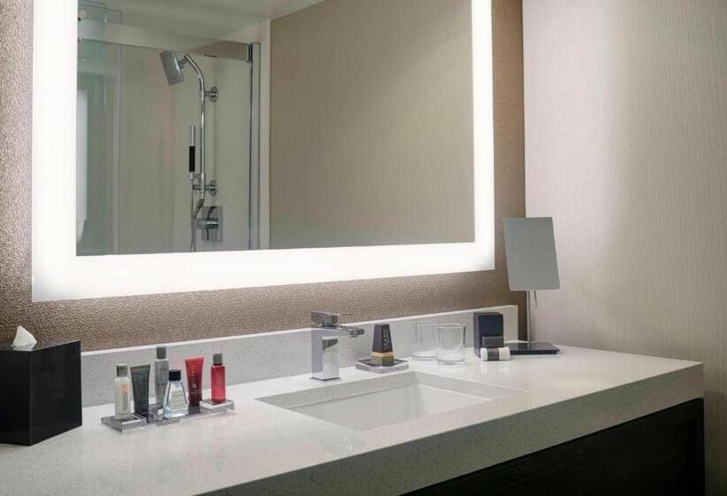 Standard Værelse, Chicago Marriott Southwest At Burr Ridge