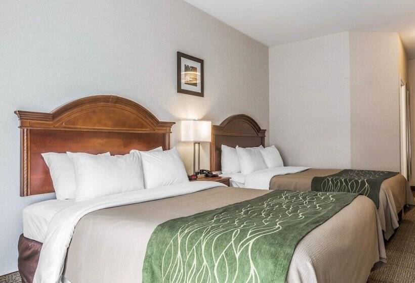 Номер Стандарт 2 Двуспальные Кровати, Comfort Inn & Suites