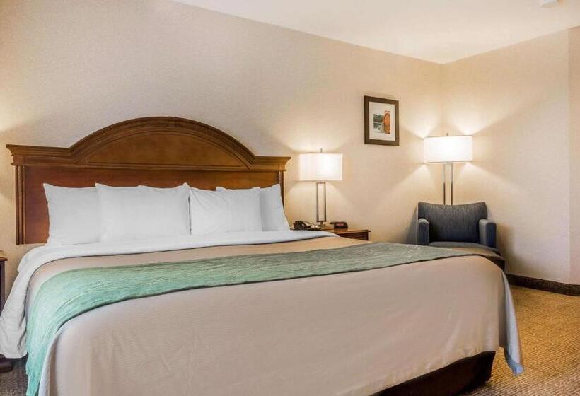 Стандартный Номер Кровать Кинг, Comfort Inn & Suites