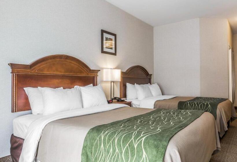Номер Стандарт 2 Двуспальные Кровати, Comfort Inn & Suites