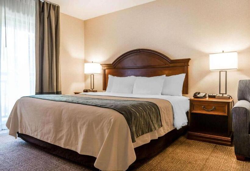 Номер Стандарт Кровать Кинг Адаптированный для Инвалидов, Comfort Inn & Suites