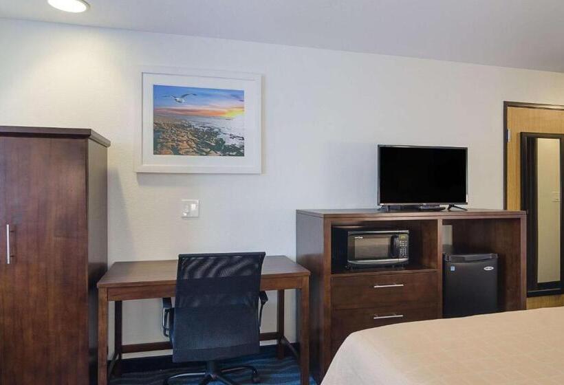 اتاق استاندارد با تخت بزرگ, Quality Inn