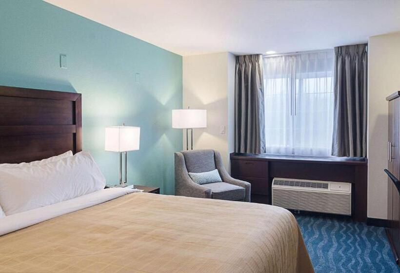 اتاق استاندارد با تخت بزرگ, Quality Inn