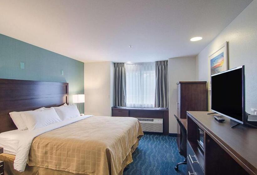 اتاق استاندارد با تخت بزرگ, Quality Inn