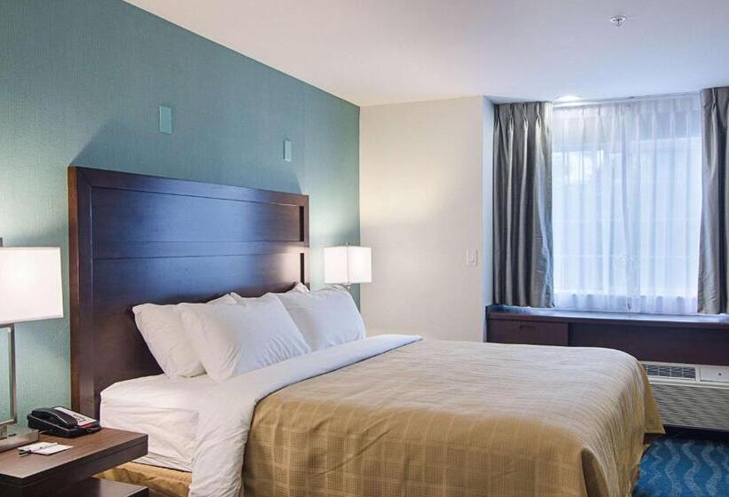 اتاق استاندارد با تخت بزرگ, Quality Inn
